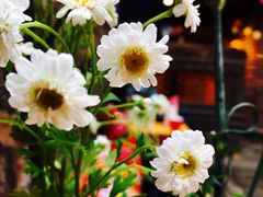 -在路上酒吧(大理古城店)