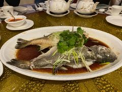 清蒸游水双青斑-名门金宴