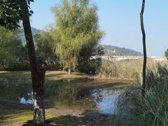 -长广溪湿地公园