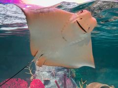 -沈阳海洋探索中心