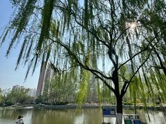 -南翠屏公园