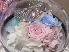 -ROSEONLY诺誓(磐基中心店)