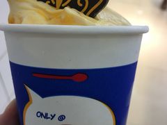 沙棘芒果暴风雪-DQ·蛋糕·冰淇淋(天通苑华联店)