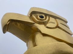 -大金鹰园