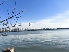 -无锡蠡湖国家湿地公园-蠡园