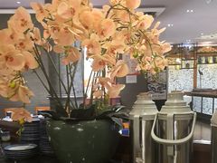 -八府香鸭·啫啫煲(华山路店)