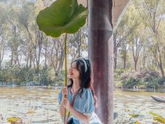 -洪湖生态旅游区