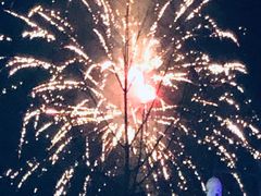 -雅安楠水阁温泉酒店