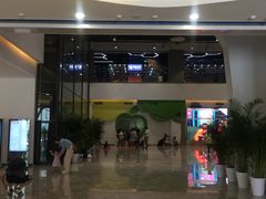 -中国宋庆龄青少年科技文化交流中心