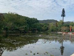 -白马涧龙池景区
