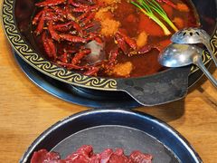 -小志家.鲜牦牛肉牛杂火锅野生菌汤锅