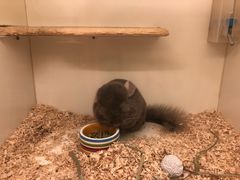 -龙猫仔乐园(惠福东路店)