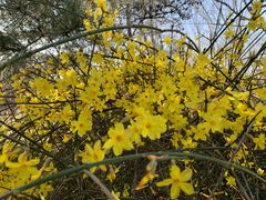 -大兴滨河森林公园