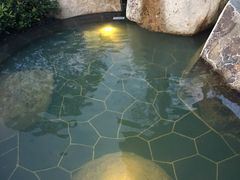 -溧阳天目湖天沐温泉