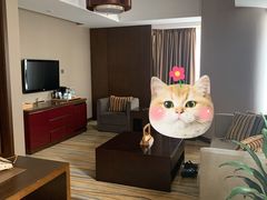 -扬州绿地铂骊酒店