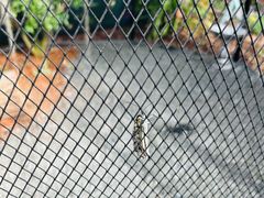 -上海鲜花港