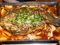 -眼镜哥浦江夜宵大本营