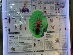 -上海大自然野生昆虫馆(东方明珠·爬宠昆虫探索中心)
