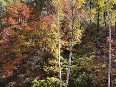 -塞罕坝国家级自然保护区