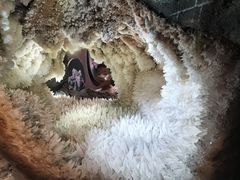 -湖南省地质博物馆