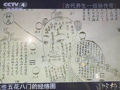 -广东中医药博物馆