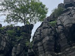 -梭布垭石林景区