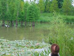 -白鹭湾湿地公园