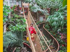 -正佳雨林生态植物园