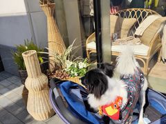 -比斯特上海购物村精品奥特莱斯