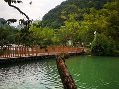-靖西鹅泉风景区