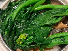 金菜云耳鸡丝炖饭-仁信双皮奶(庙前直街店)