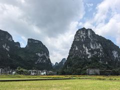 -明仕田园