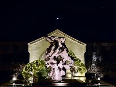 -杭州西子湖四季酒店·金沙厅