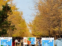 -辽宁大学(崇山校区)