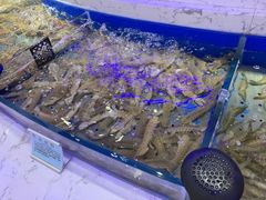 鲜活皮皮虾-澜悦港海鲜体验主题餐厅