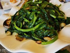 清炒大豆苗-新港海鮮