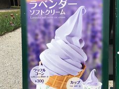 -富田农场