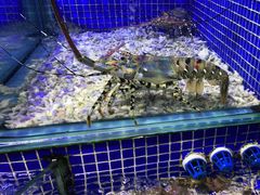 -青蓬蒸汽海鲜·深圳老字号·团建聚会(壹方城店)