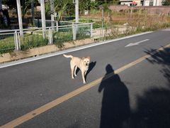 -红山村