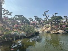 -罗红摄影艺术馆