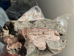 -青岛胶东国际机场
