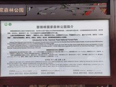 -磬锤峰森林公园