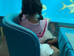 -瑞德姆美人鱼海底演艺主题餐厅(亚龙湾店)