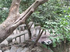 -叶家花园