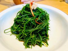 拌沙葱-蒙料·手把肉(望京店)