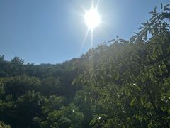 -伏羲大峡谷
