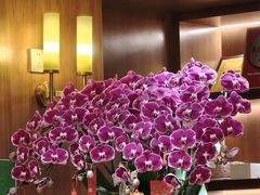 -鹏城人家海鲜酒家·23年老字号(较场尾店)