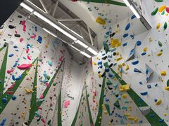 -绿壁虎攀岩基地(Tcar店)