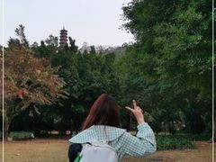 -南沙蒲洲花园
