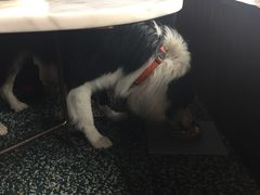 -the rug 飞毯 (朝阳公园店)